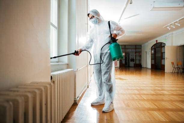 Best Flea Control Services  in Caoncito, NM